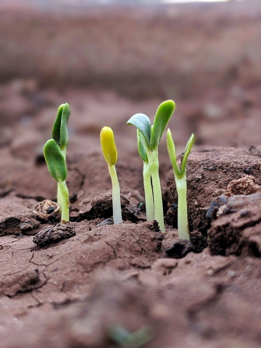 10 Tips for Growing an Ecommerce Business